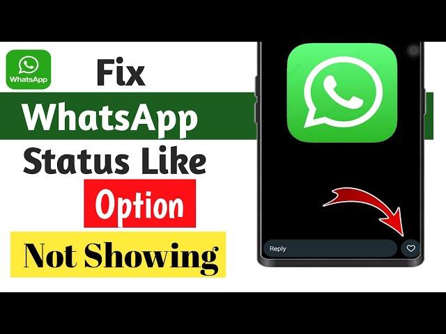 How To Fix WhatsApp Status Like Button Not Showing | WhatsApp Status Like Option