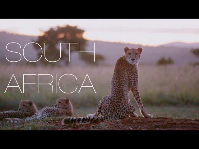 South Africa with primeguides.net-90 second travel guide