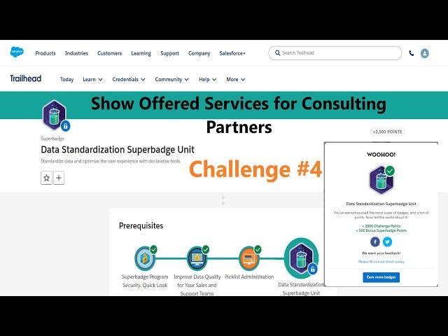 Show Offered Services for Consulting Partners || Data Standardization Superbadge Unit|| Challenge 4