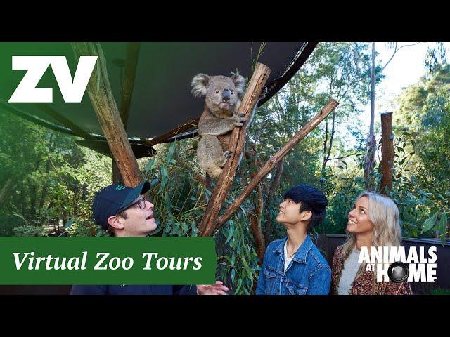 Virtual Tour of Healesville Sanctuary