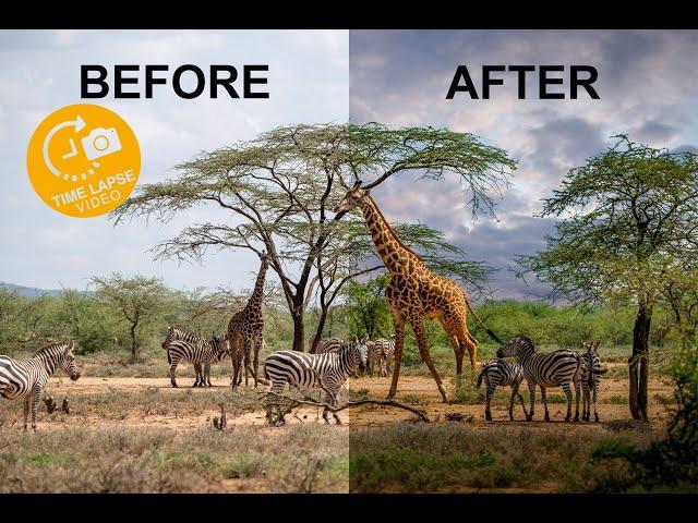 Giraffe Editing Tutorial Hyperlapse