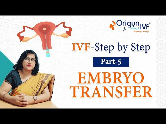 IVF Procedure - Step by Step | Part 5 | Hindi l Embryo Transfer into the Uterus