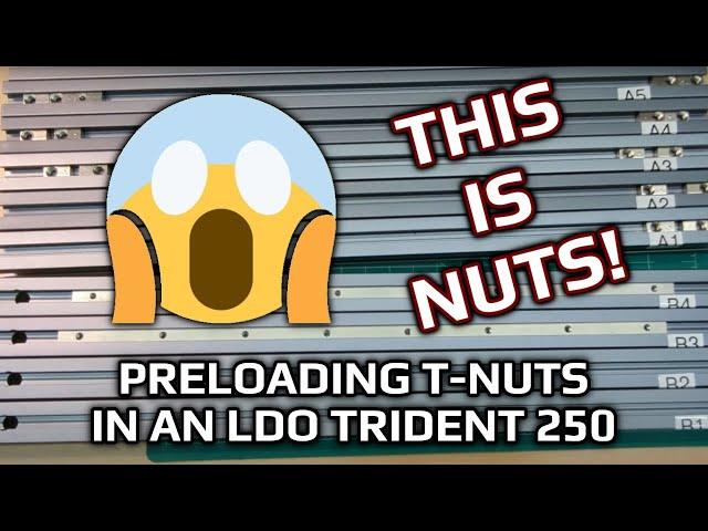 Preloading T-Nuts in a Voron Trident 250