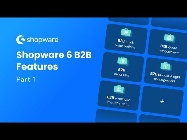 Shopware 6 B2B Features (Part 1)