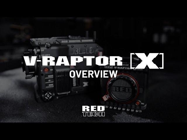 RED TECH | V-RAPTOR [X] 8K VV