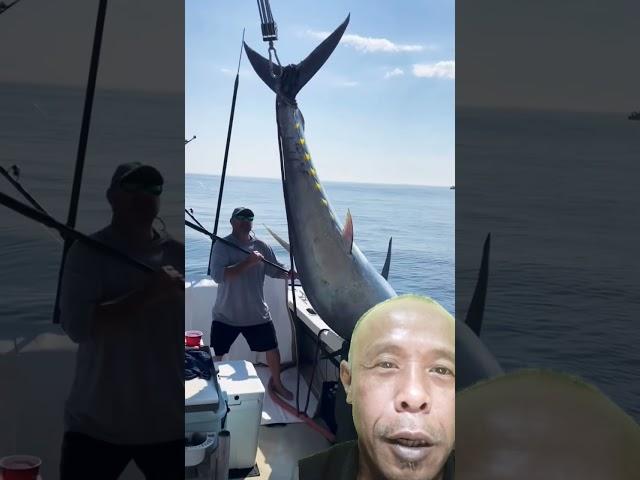 lifting tuna fish using a trekker #fishing #tuna