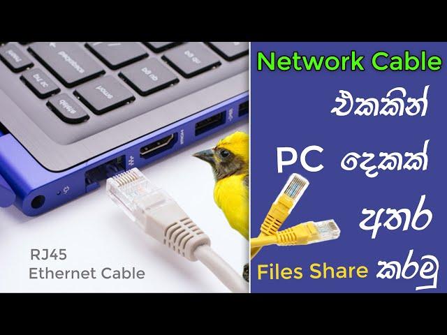 How To Share Files Between Two Computers Using Network Cable | RJ45 | LAN | Ethernet Cable Sinhala