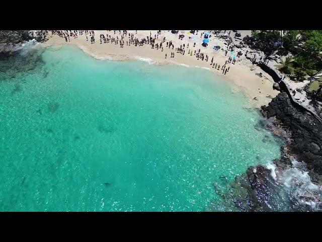 La’aloa beach park (magic sands) shark