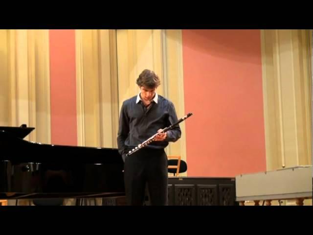 Theodoor Verhey flute Concerto in d minor