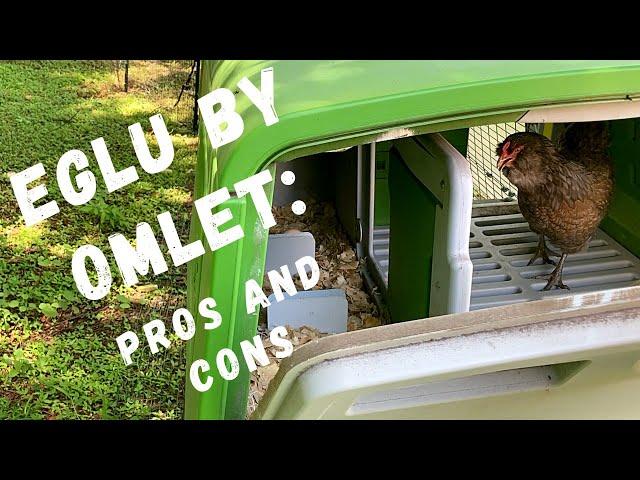 Eglu by Omlet:  Pros and Cons