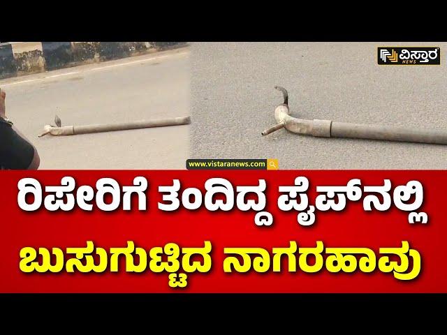 Snake Stuck in Pipe |Vijayanagar | ಕೂಡ್ಲಿಗಿ ಪಟ್ಟಣದ ಕೊಟ್ಟೂರು ರಸ್ತೆಯಲ್ಲಿ ಘಟನೆ  | Vistara News