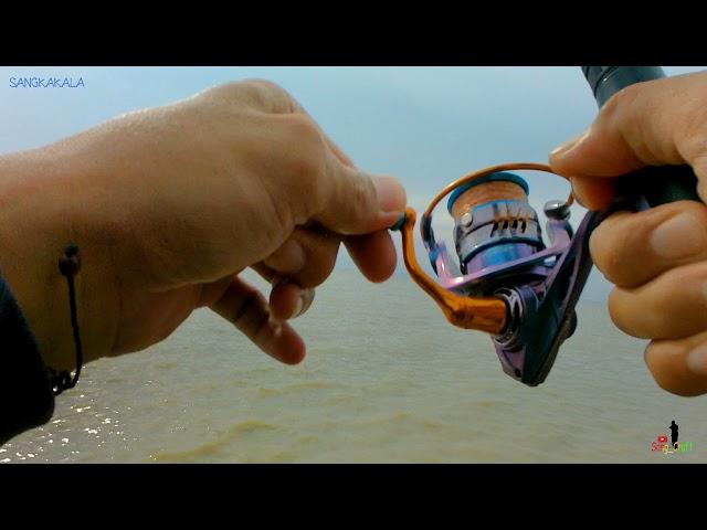 Test Reel SeaHawk Lite Pro 800 Special Edition Buat Mancing Ikan Gulama