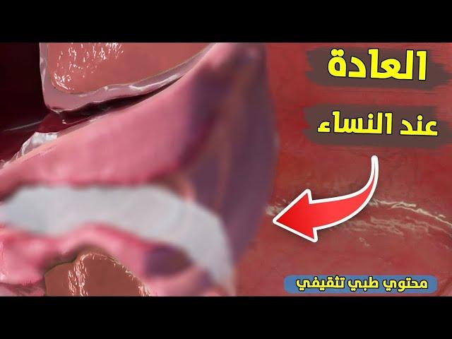 العـ.ـادة السر/ية عند النساء | شاهد ما يحدث لجسد المرأة