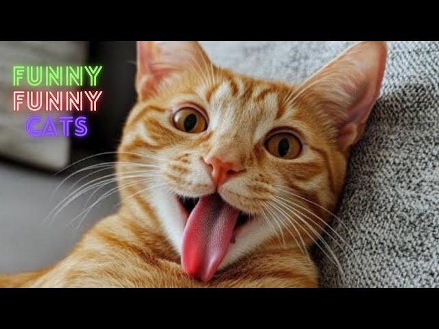 Cat Funny Videos   2 Hour Compilation Of Fun Cat Videos That Will Make You Laugh And Find Peace 