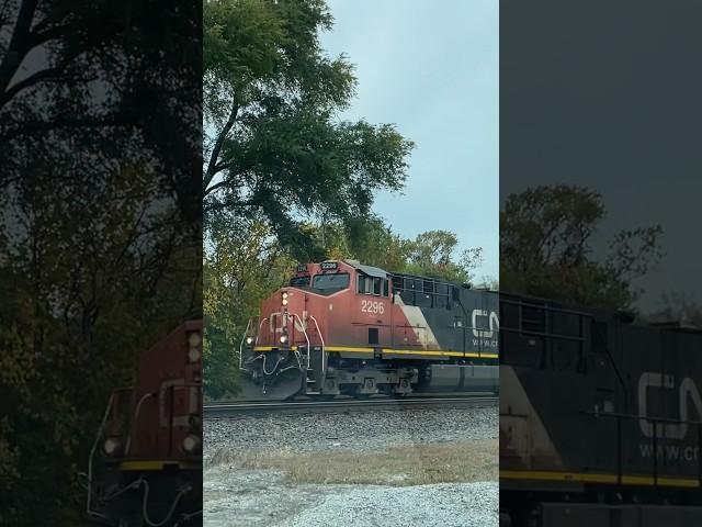 CN Gevo and Dash 9 lead a manifest through Griffith Indiana #trains #canadiannational  #railroad