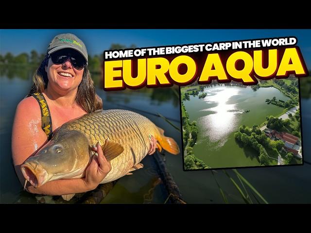 Home Of The BIGGEST CARP IN THE WORLD - Euro Aqua Travel & Fishing Guide