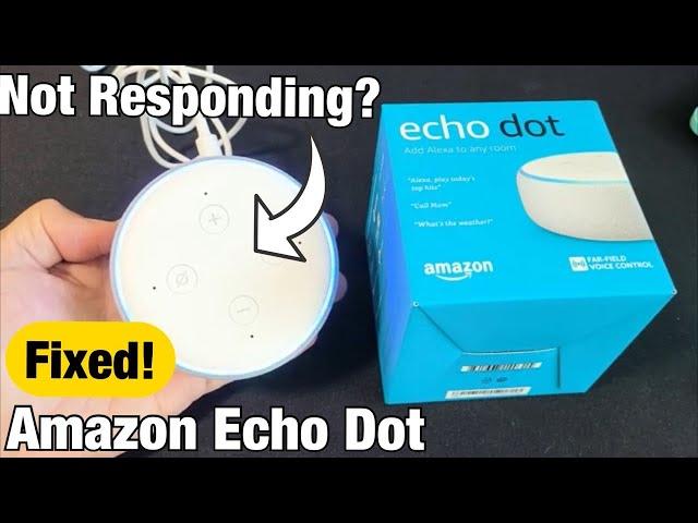 Echo Dot: Not Responding, Frozen or Not Working? FIXED!