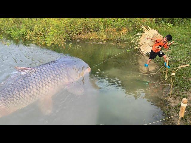 Fishing techniques for fishing with earthworms in Highland Boy Khai harvests lake carp for sale