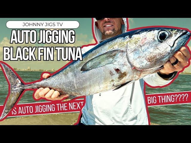 Is Auto Jigging The Next Big Thing? | Auto Jigging Setup vs Black Fin Tuna | Slow Pitch Jigging