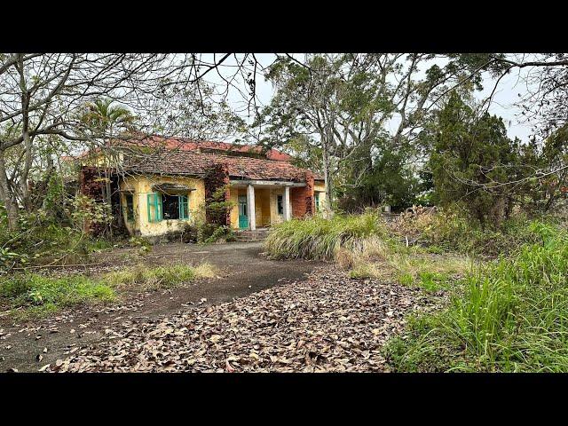 How The Professionals Cleaned Up and Renovated the School  Perfect transformation