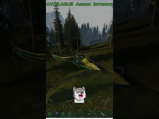 Brontolympics anyone?? roflmao #gaming #arksurvivalevolved #clips #funny #olympics2024