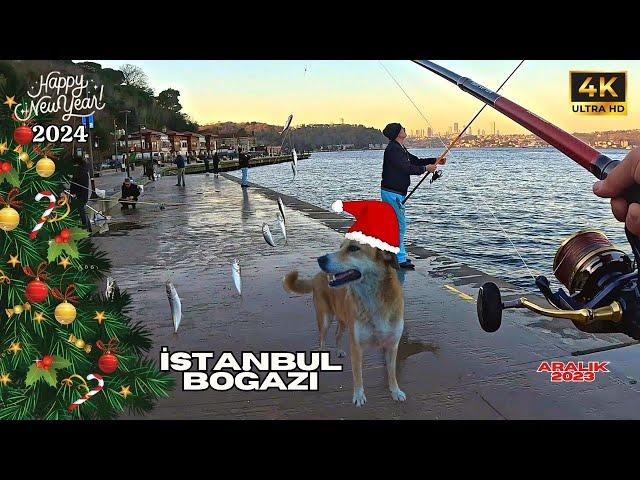 BURUNBAHÇE İSTAVRİT AVI | ÇAPARİ İLE BALIK AVI #fishing #balıkavı #istavrit #istanbulboğazı