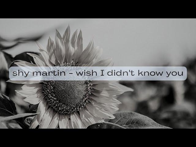 shy martin  - wish I didn't know you(Dimanchyck piano cover + sheet)