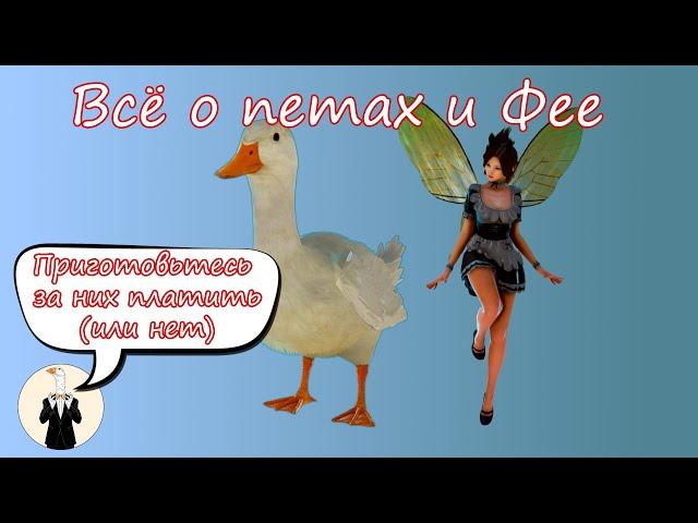 BDO Всё (почти) о питомцах и фее