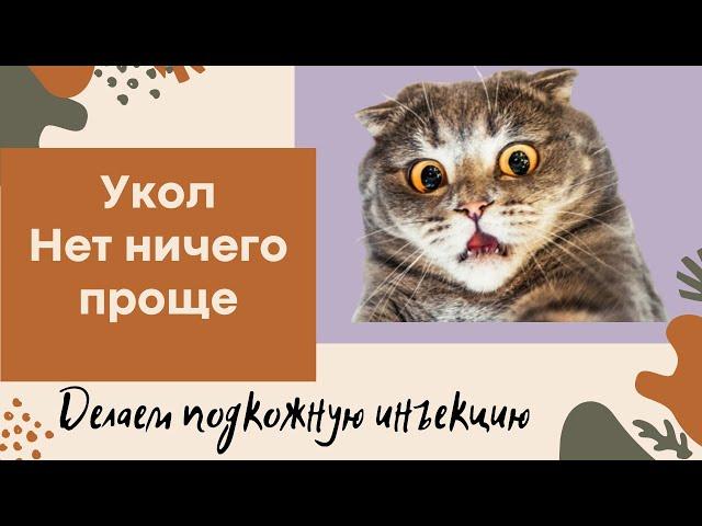 Укол. Нет ничего проще. Делаем подкожную инъекцию.