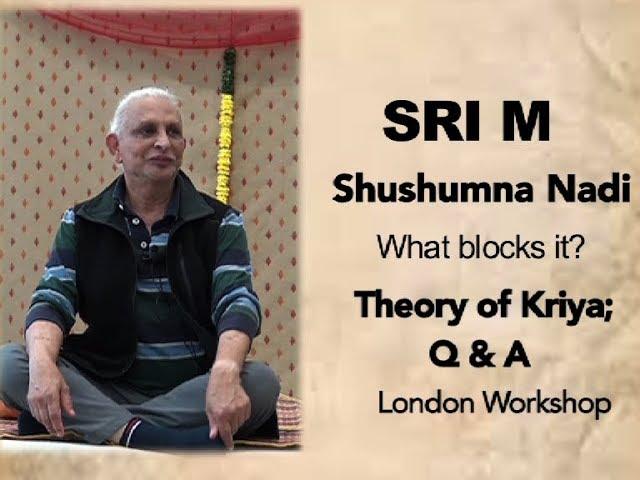 Sri M - What blocks the Shushumna Nadi? Theory of Kriya; Q&A - London Workshop June 2019