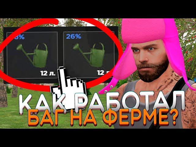 Как Работал БАГ с ЛЕЙКОЙ НА ФЕРМЕ? AMAZING ONLINE