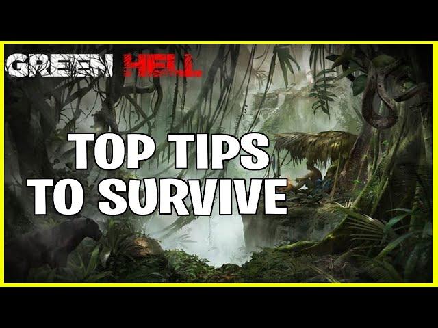 Top Tips and Tricks To Survive Green Hell