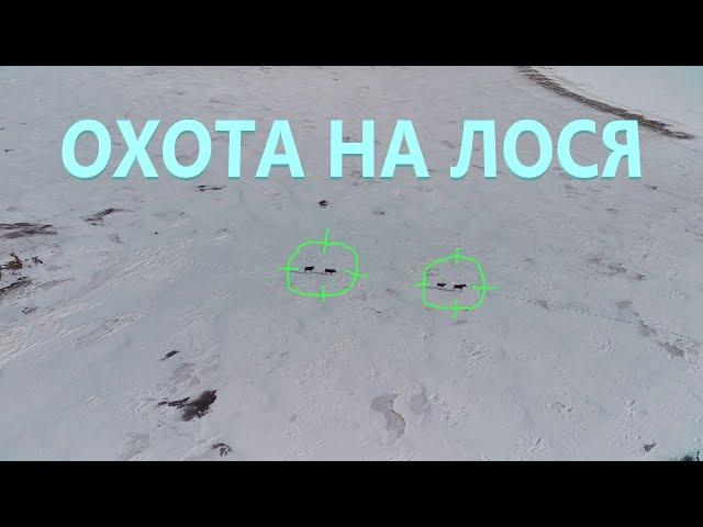 Охота с воздуха на Лося и Кабана в Оренбургской области#FimiX8SE2022