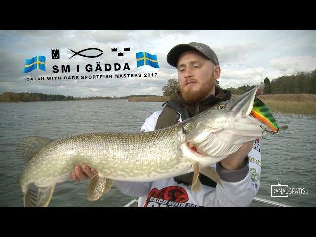 SM i Gädda Catch with Care Sportfish Masters 2017 - Live Highlights