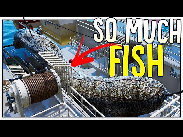 80,000 KG of Fish in 1 Net! - Is A $20,000,000 Fishing Trawler Worth It? - Fishing North Atlantic