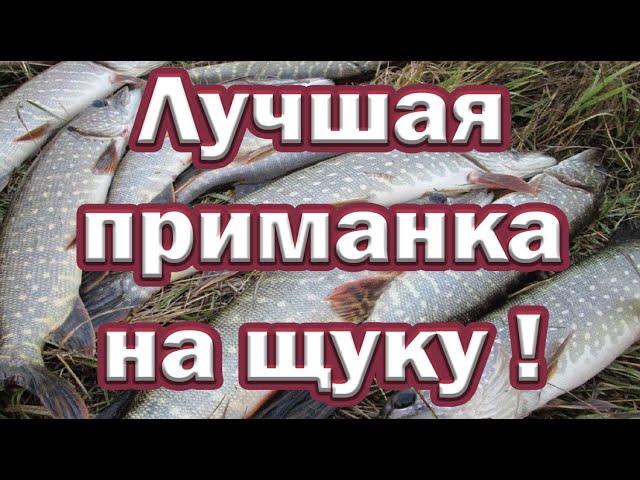 О НЕЙ ВАМ НЕ РАССКАЖУТ!!! ЛУЧШАЯ ПРИМАНКА НА ЩУКУ ловит до поздней осени!!! Рыбалка на спиннинг!