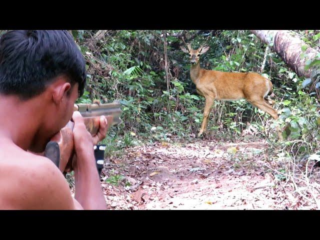 BERBURU BURUNG PERGAM & HAMA PEMAKAN DURIAN DI SPOT KIJANG