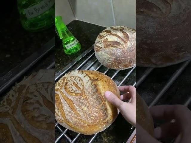 Sourdough Bread with the new design.