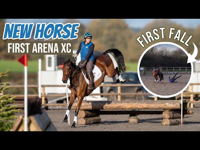 FIRST FALL Jumping My NEW HORSE ARENA XC | I needed that to Happen!!