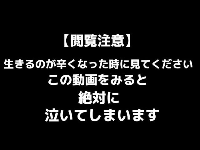 【泣ける動画】この動画を見て泣かない人はいない。