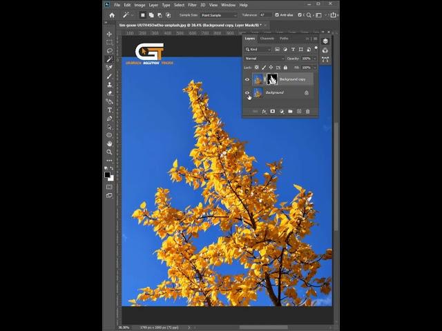 Tree Background remove In Photoshop | Photoshop Shorts Tricks