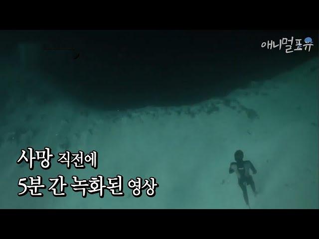 Earth's mystery blue hole, and the mysterious creature in the video of the diver who died