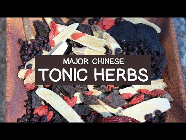 Major Chinese Tonic Herbs - List of Top 10