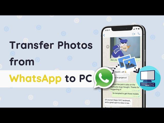 How to Transfer/backup Photos from WhatsApp to PC  [2024] | Save WhatsApp Data to PC