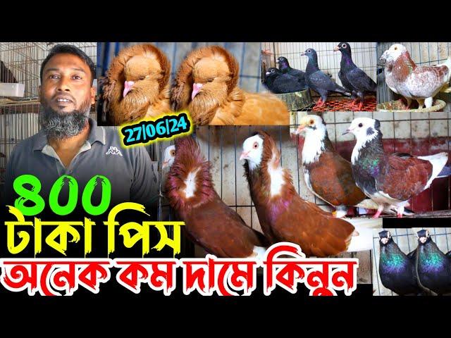 মাত্র ৪০০ টাকা পিস ফেন্সি কবুতর কিনুন || কম দামে ভালো মানের কবুতর বিক্রি হবে || ফেন্সি কবুতর বিক্রি