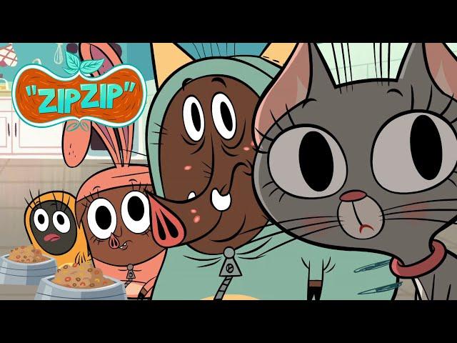 Washington gone wild | Zip Zip English | Full Episode | S1 | Cartoons for kids