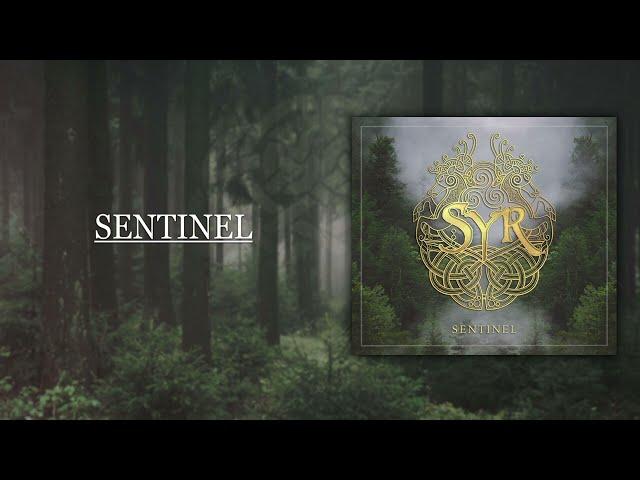 "Sentinel" - Syr