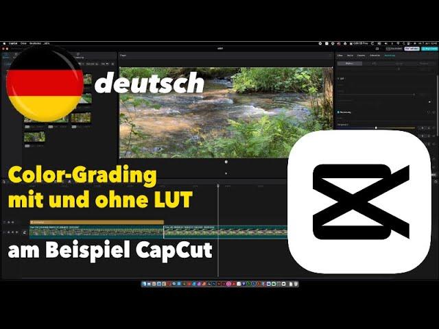 Color Grading – Anleitung am Beispiel CapCut – deutsch – Tutorial – mit LUT und manuell