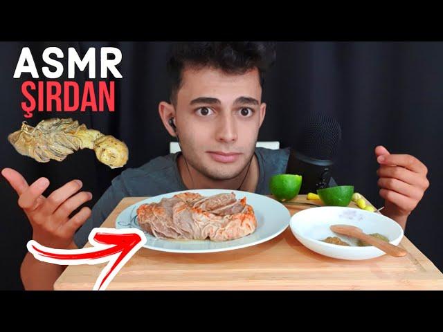 ŞIRDAN MUKBANG ASMR TÜRKÇE | Yemek ASMR | Mukbang Türkçe | Eating Sounds | Mouth Sounds