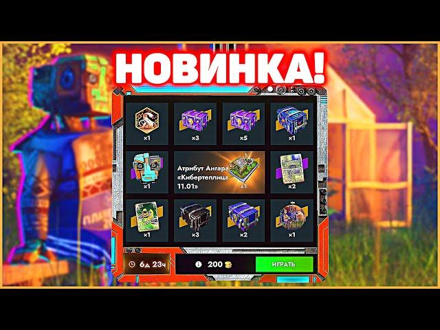 Сливаю ГОЛДИЩЕ Розыгрыш Куры не клюют! Tanks Blitz